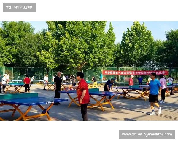 马尔默乒乓球主题电车赛事文化与城市风貌的完美融合 马尔默乒乓球主题电车赛事文化与城市风貌的完美融合